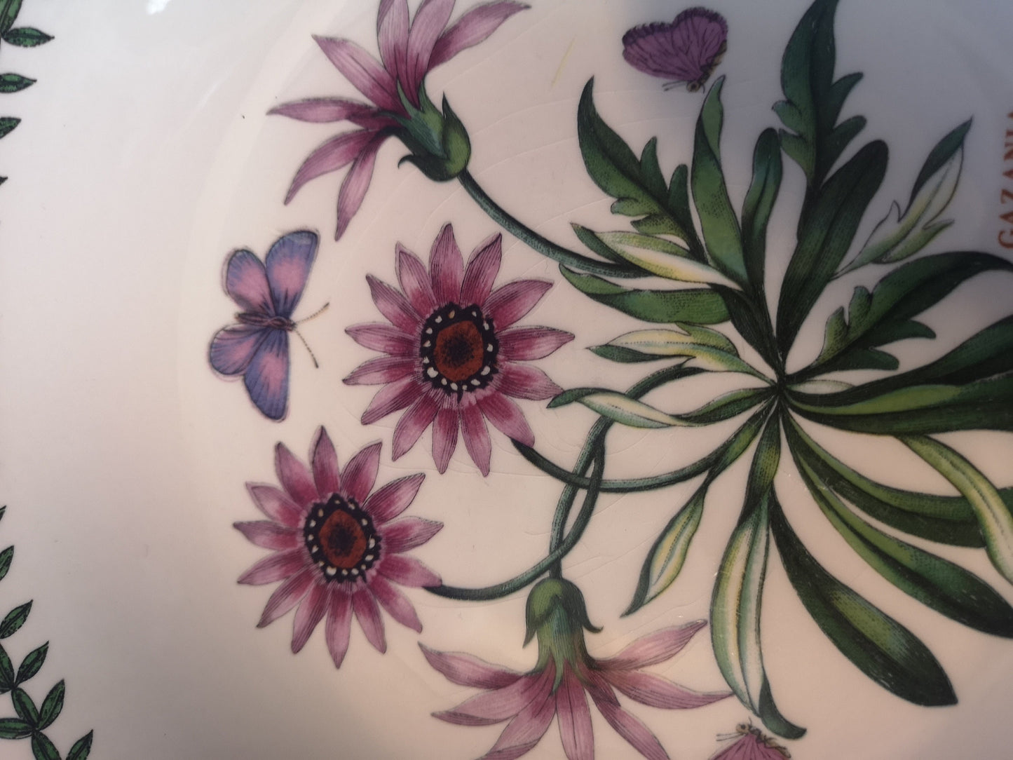 Portmeirion botanical garden bowl 22cm diameter