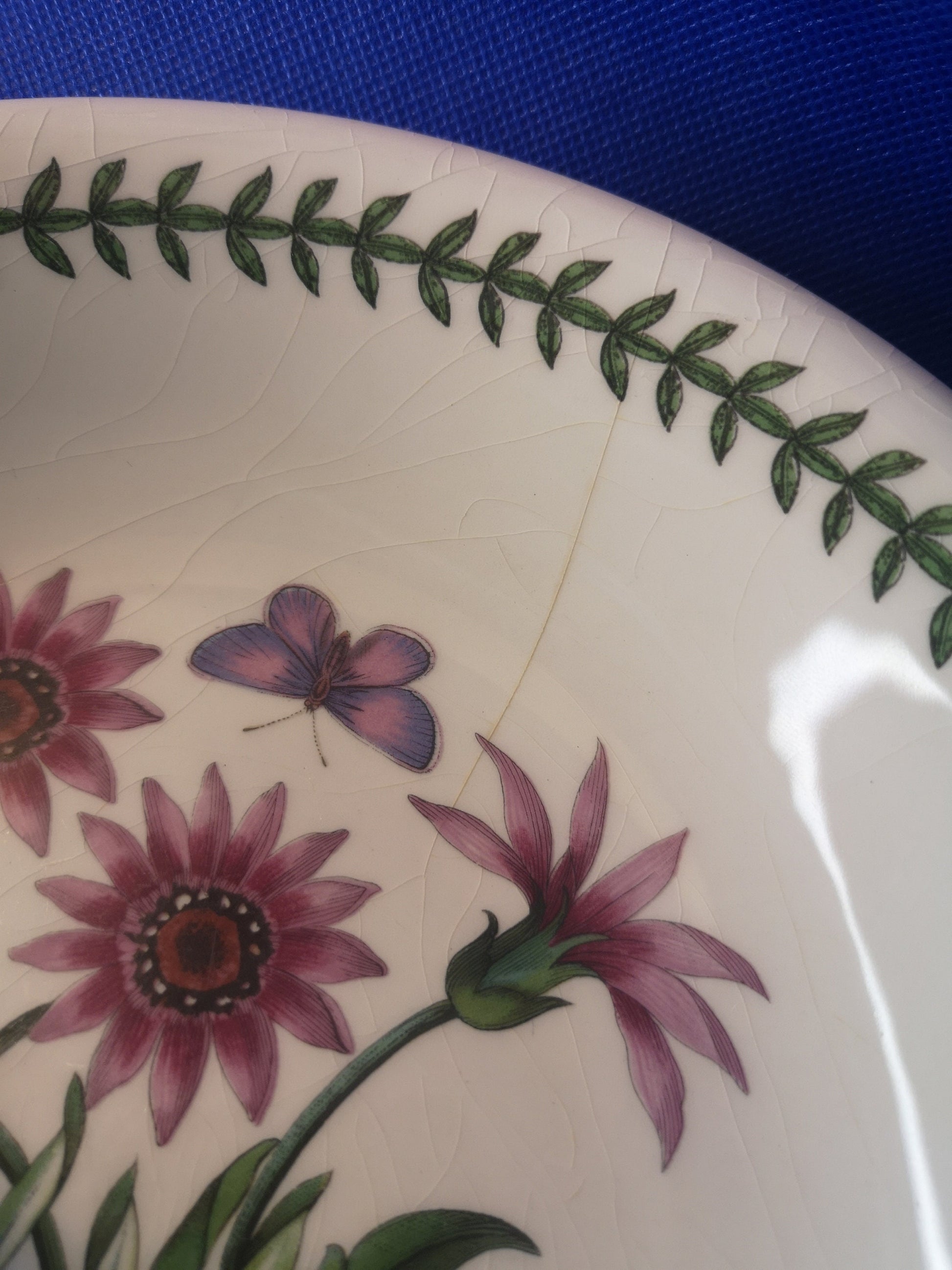 Portmeirion botanical garden bowl 22cm diameter