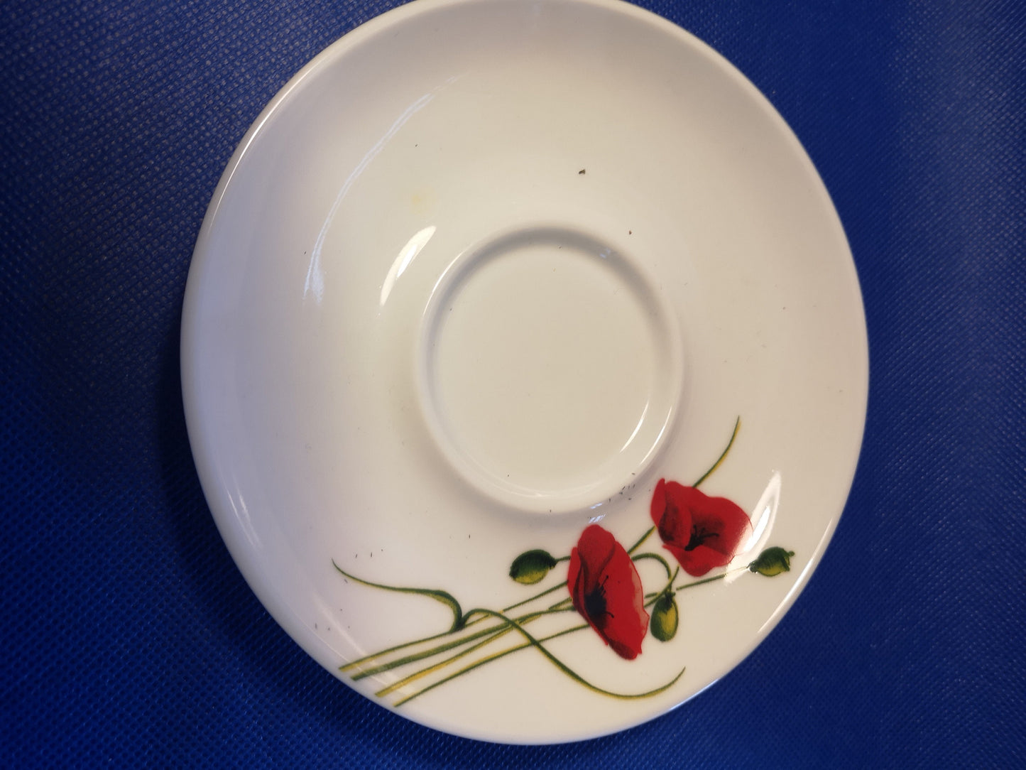 Poppy design tea cup and saucer - modern