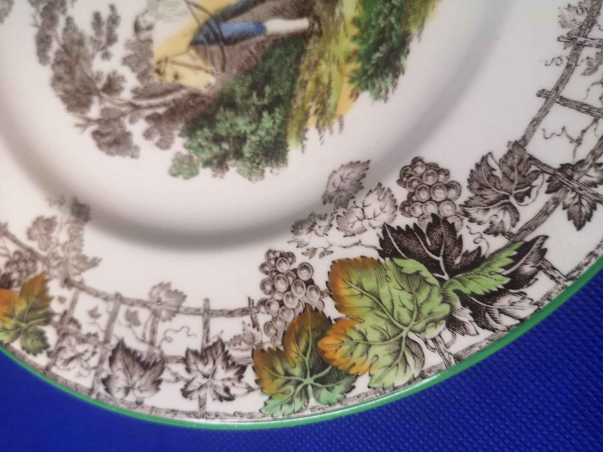 Copeland Spode byron round plate 22.5cm diameter