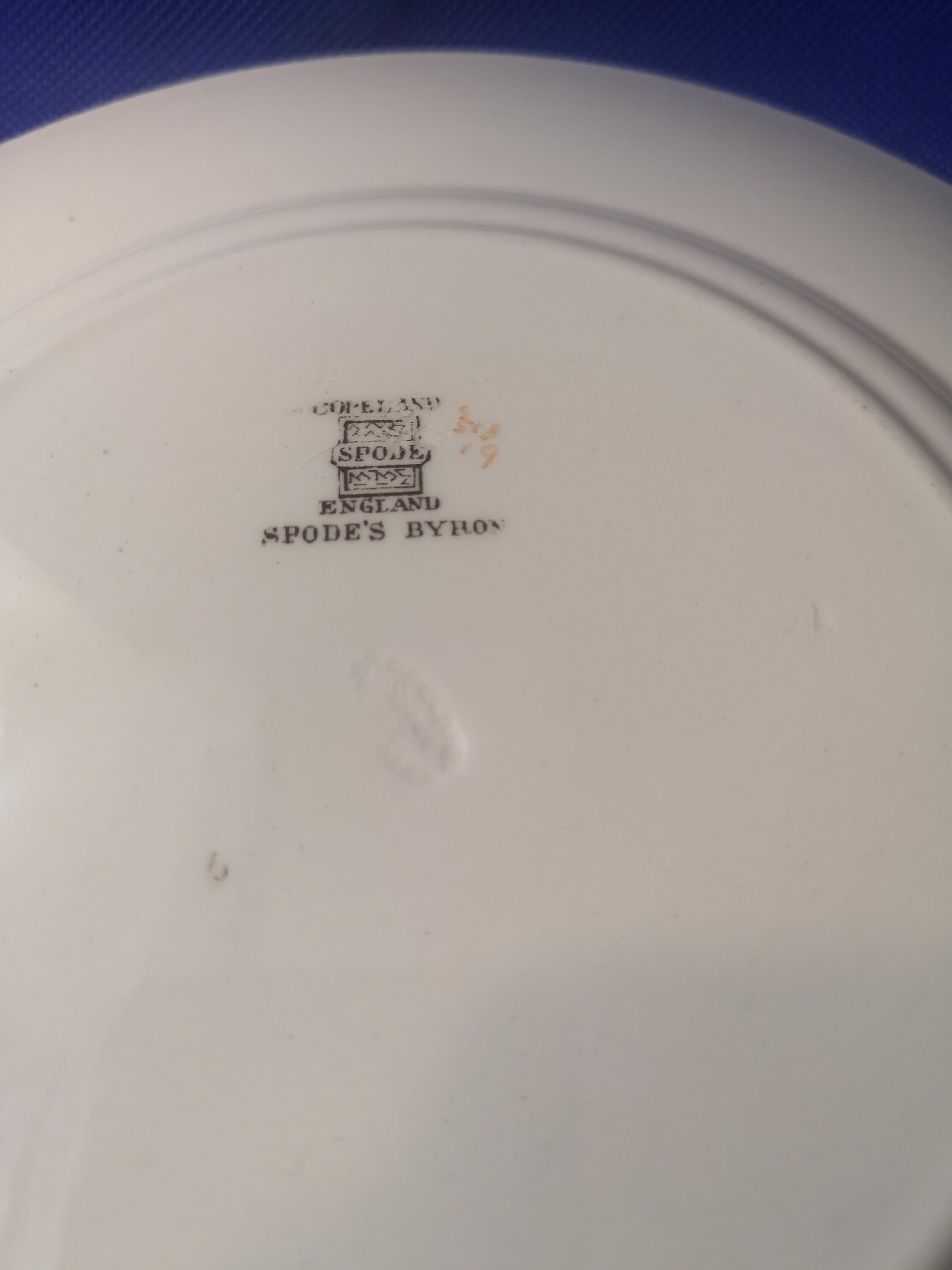 Copeland Spode byron round plate 22.5cm diameter