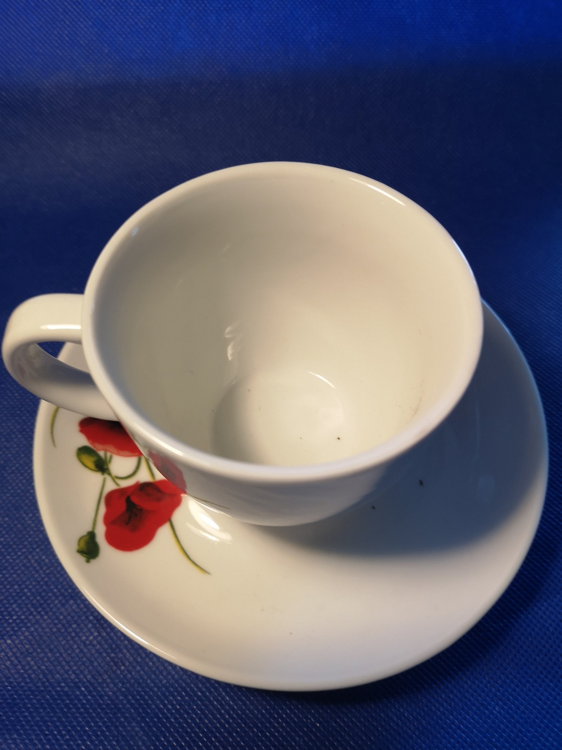 Poppy design tea cup and saucer - modern