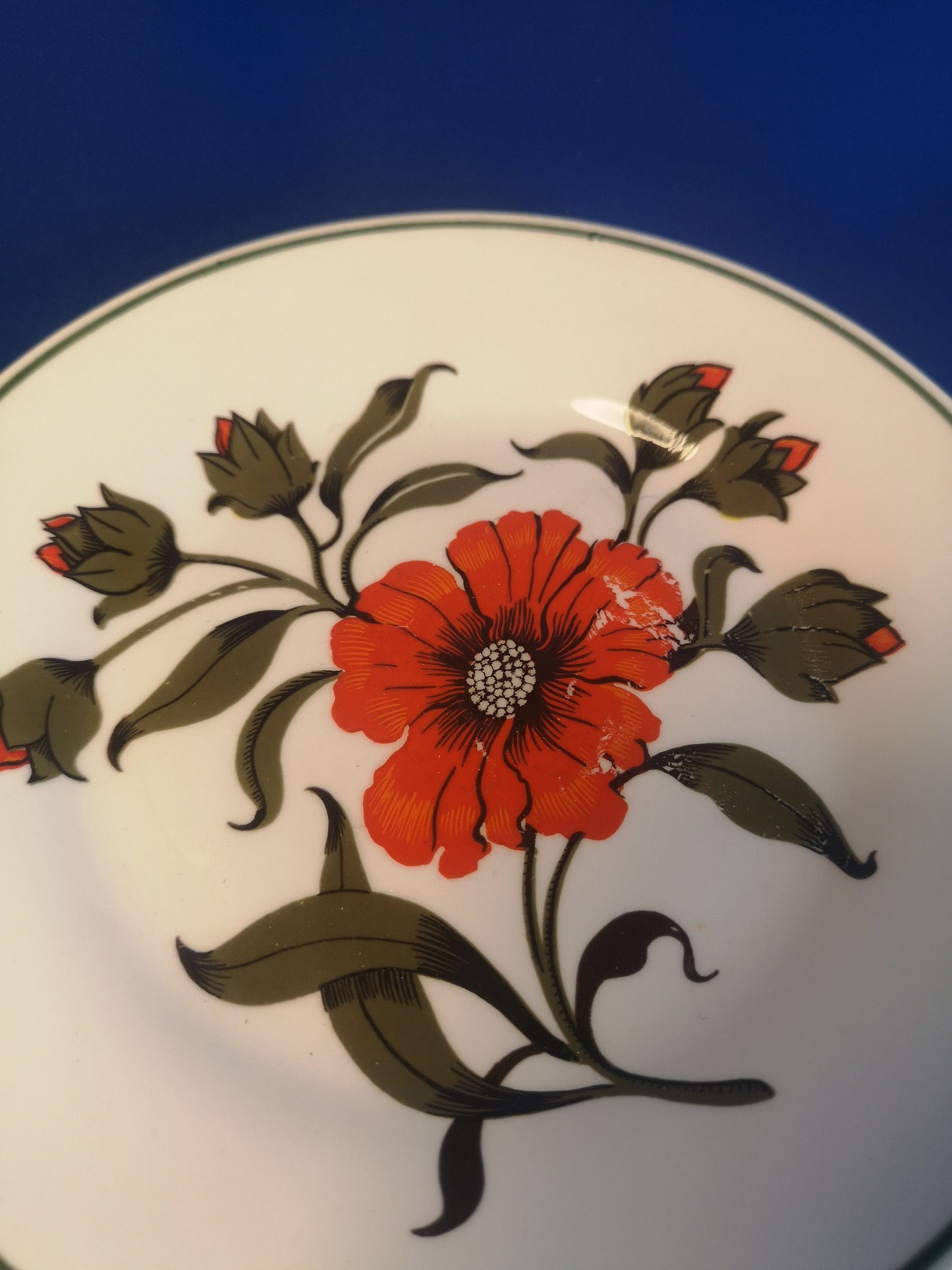 Elizabethan "Carmen" Poppy plates 23.5cm and 16.5cm