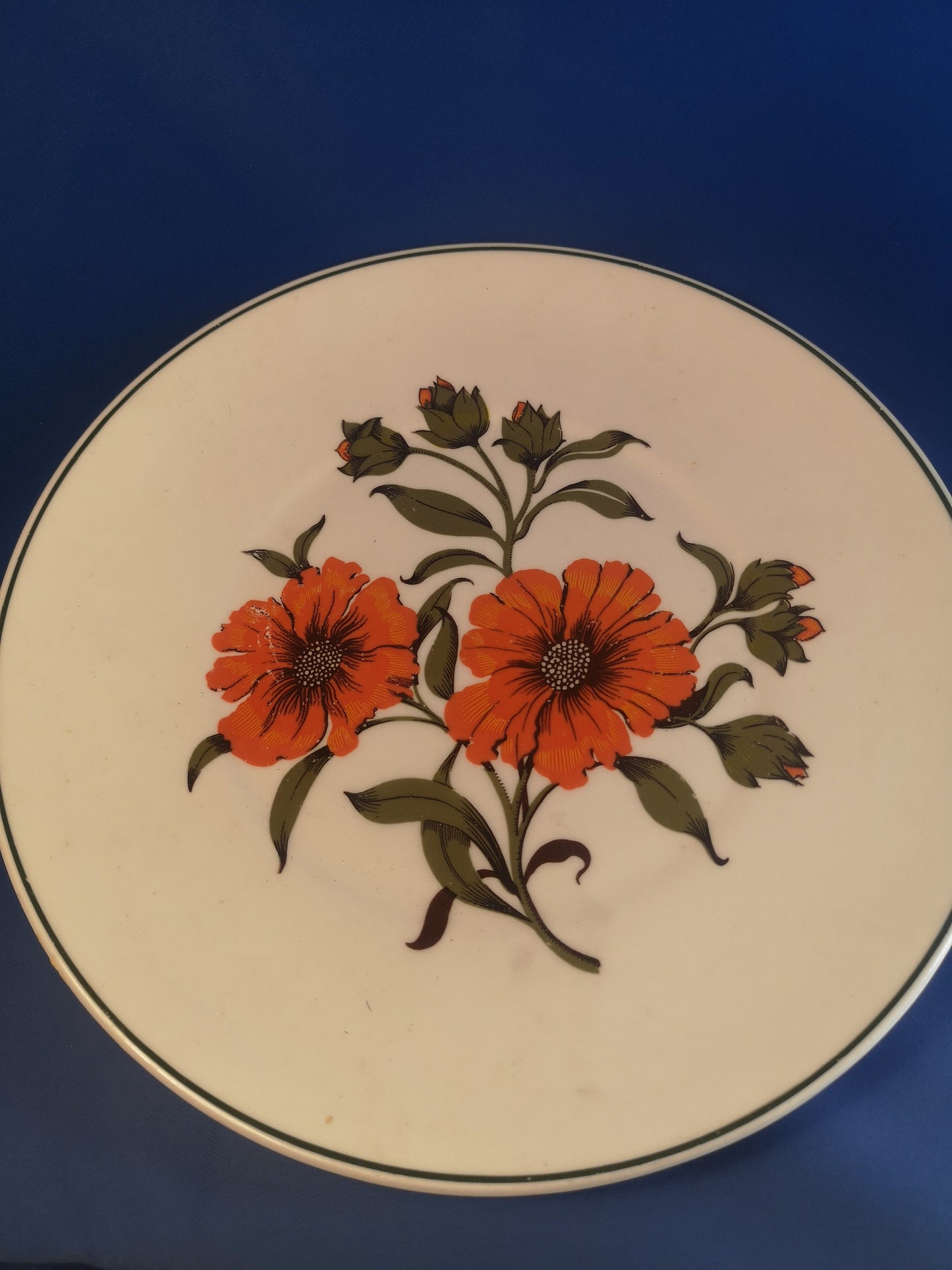 Elizabethan "Carmen" Poppy plates 23.5cm and 16.5cm