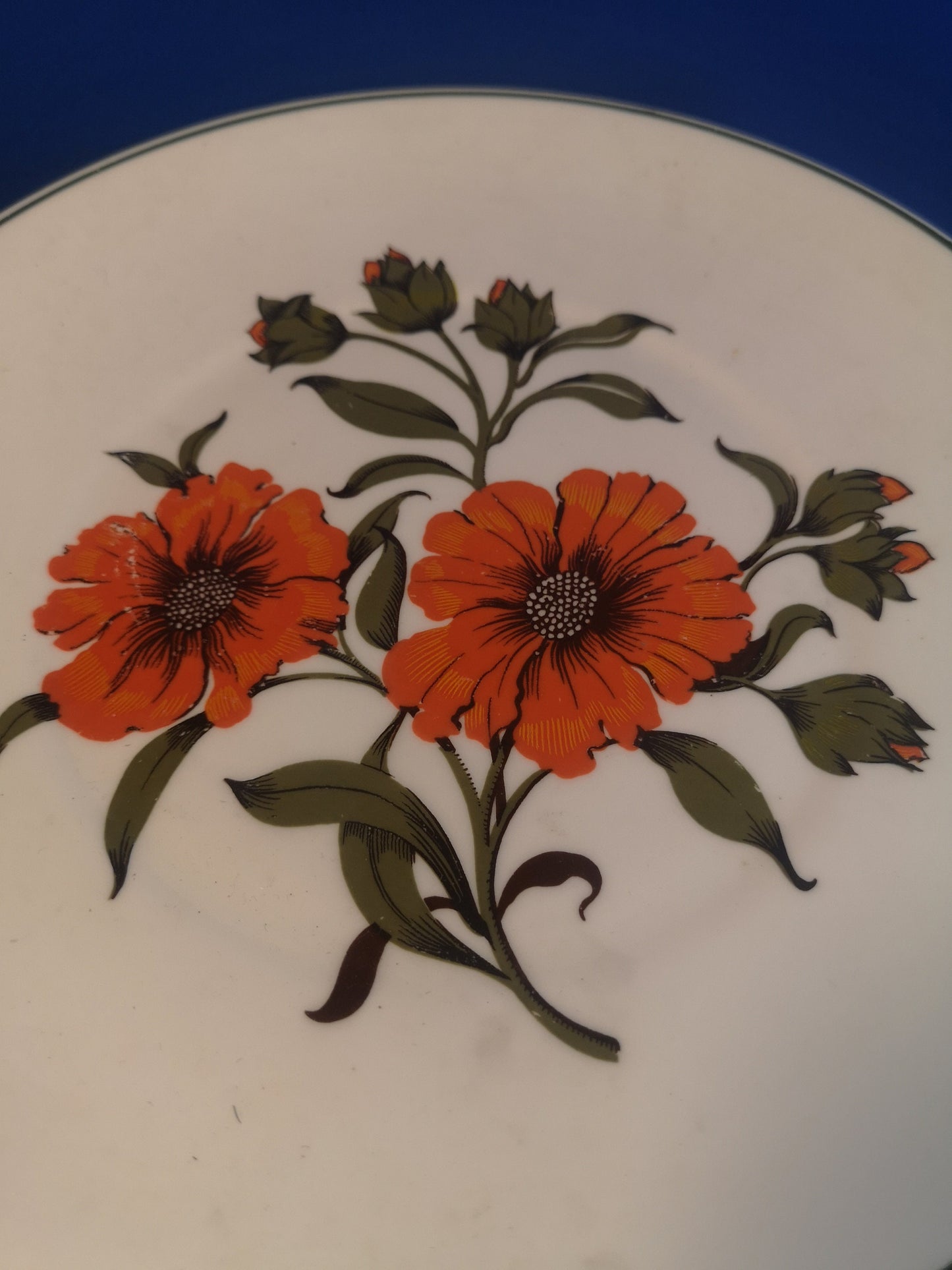 Elizabethan "Carmen" Poppy plates 23.5cm and 16.5cm