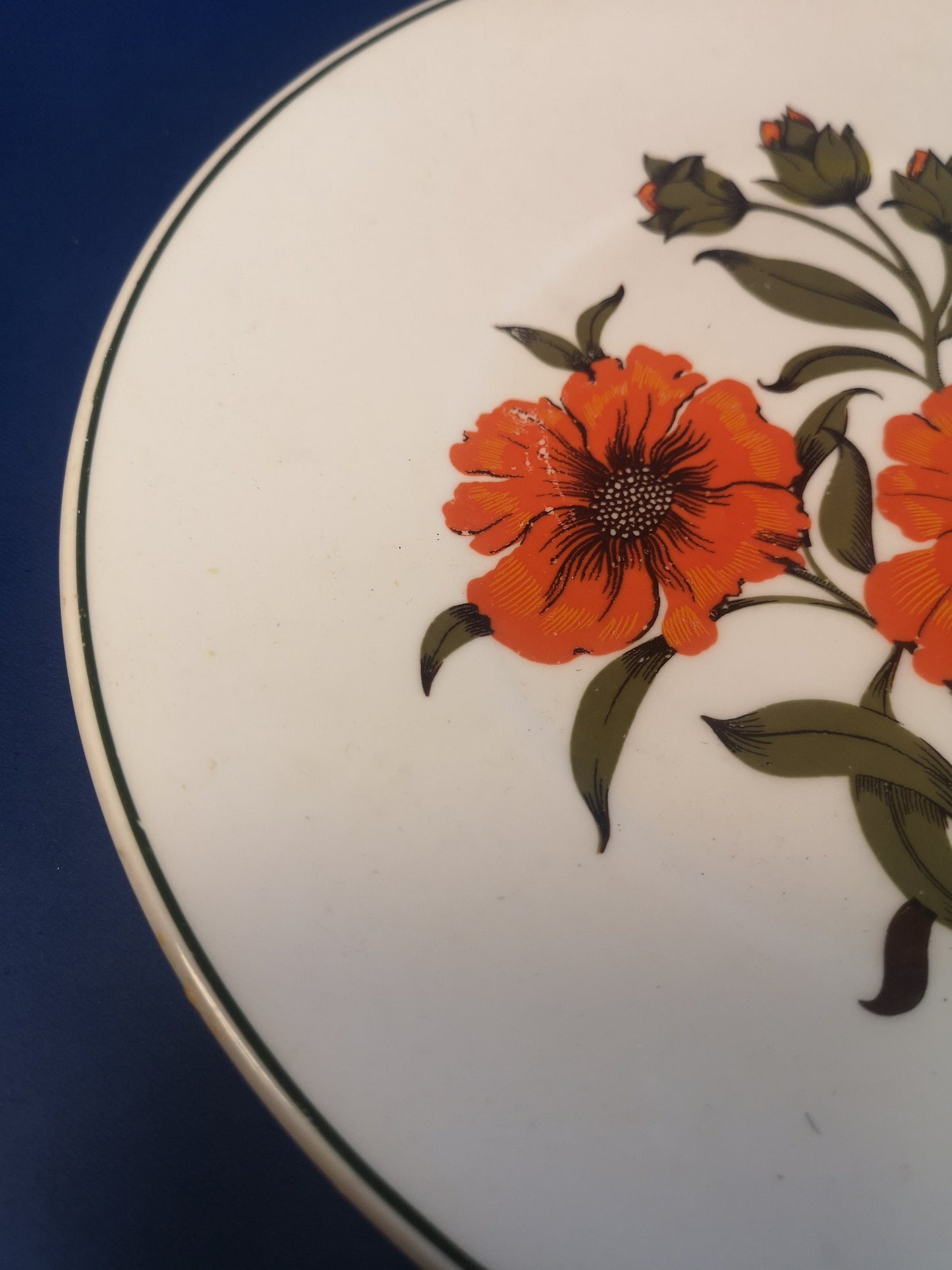 Elizabethan "Carmen" Poppy plates 23.5cm and 16.5cm