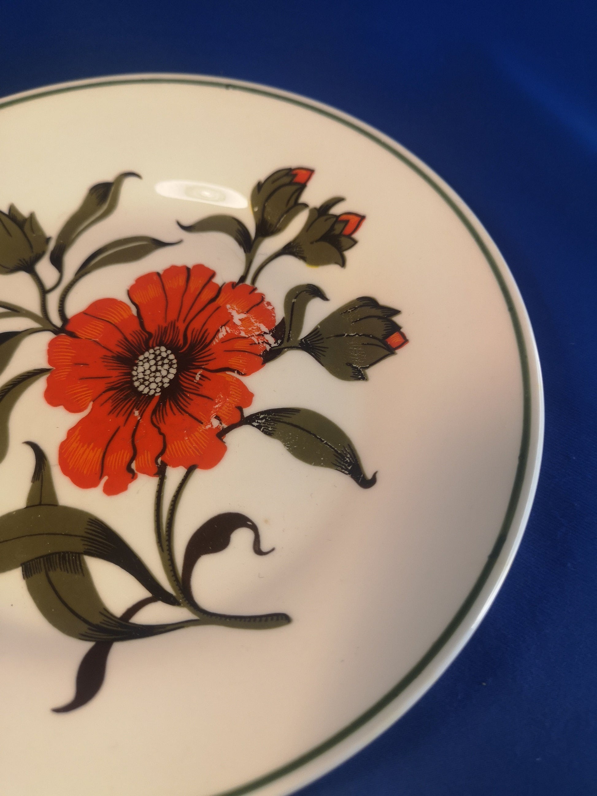 Elizabethan "Carmen" Poppy plates 23.5cm and 16.5cm