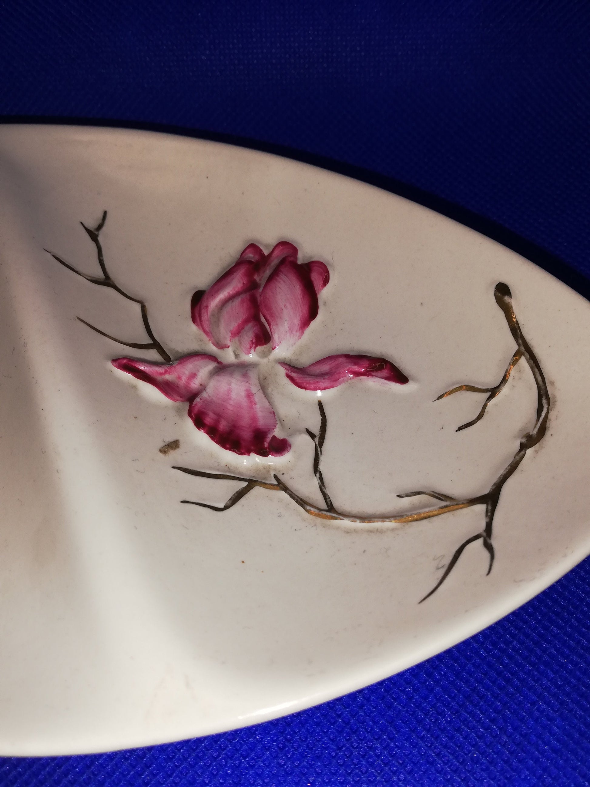 Carltonware handpainted oval footed dish with divide - Iris design