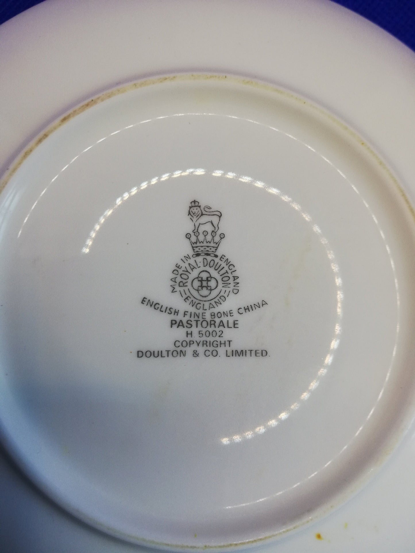 Royal Doulton Pastorale coffee cup and saucer