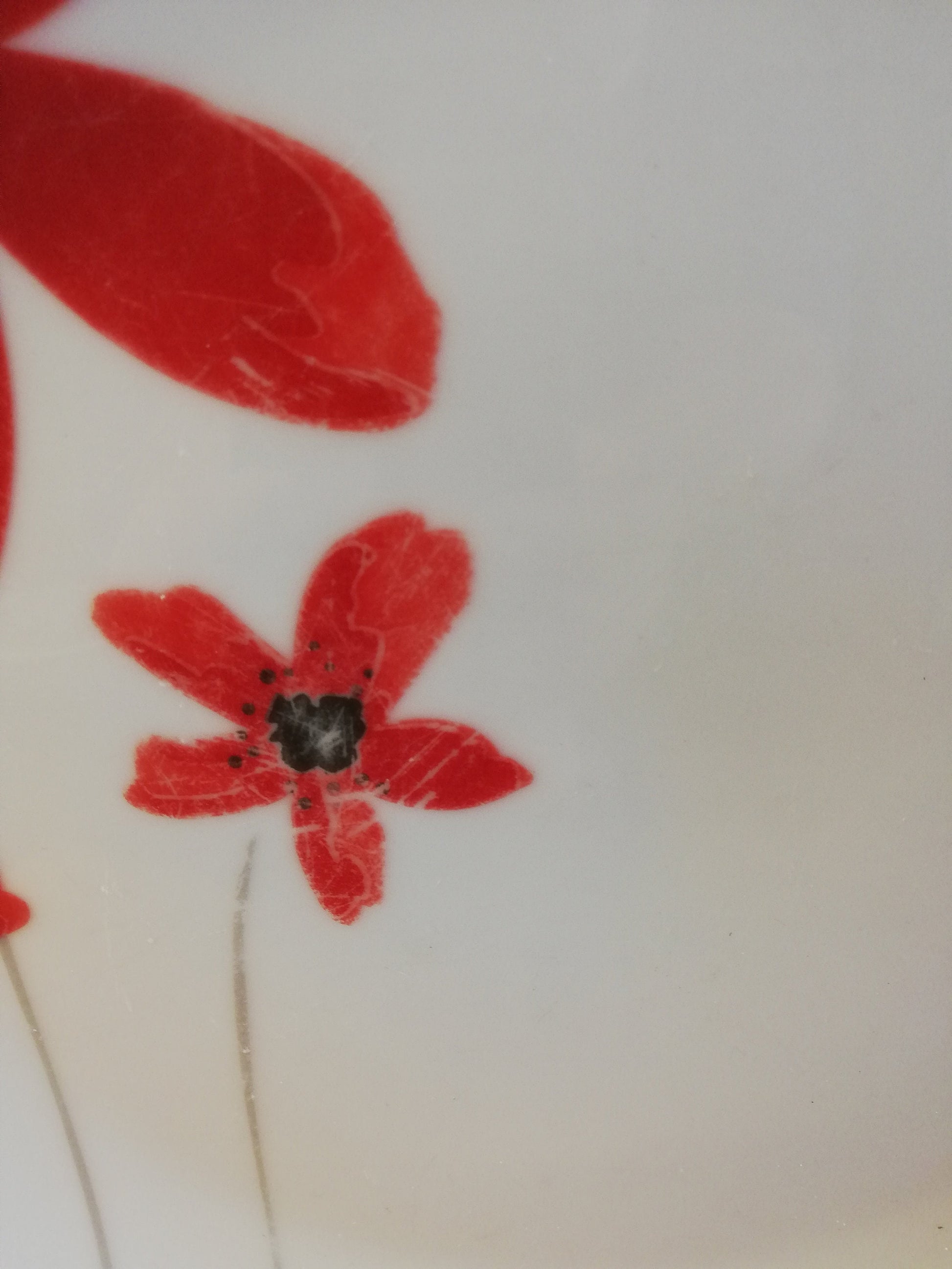 Large white dinner plate with a red poppy design originally made for wilko stores 10 3/4" diameter