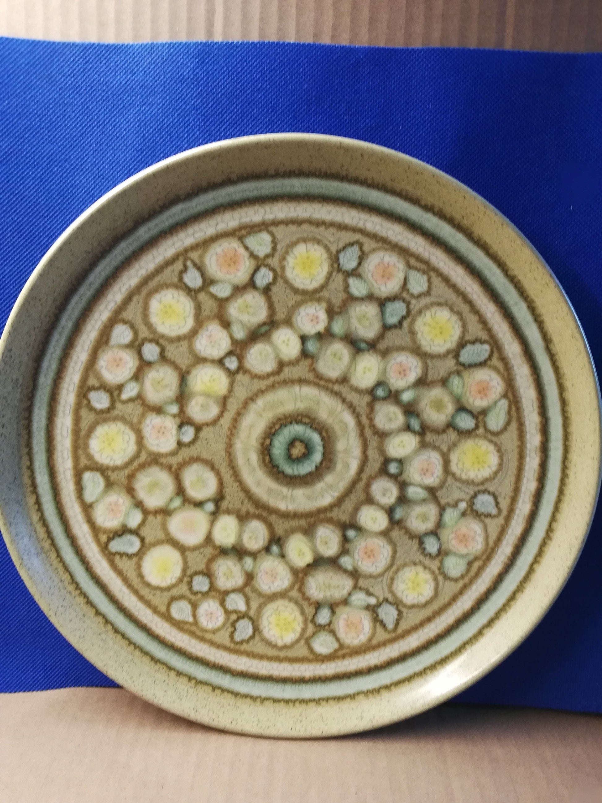 Franciscan pottery 10" plate in the reflections pattern