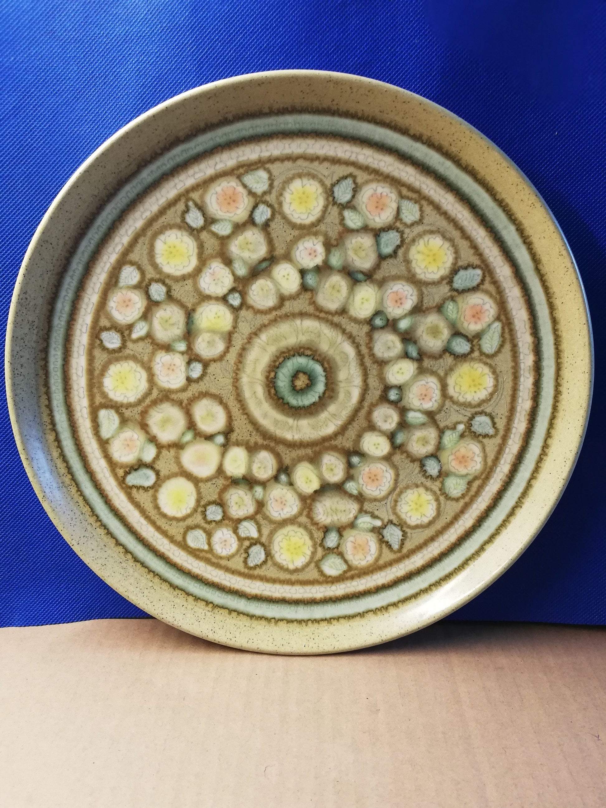 Franciscan pottery 10" plate in the reflections pattern