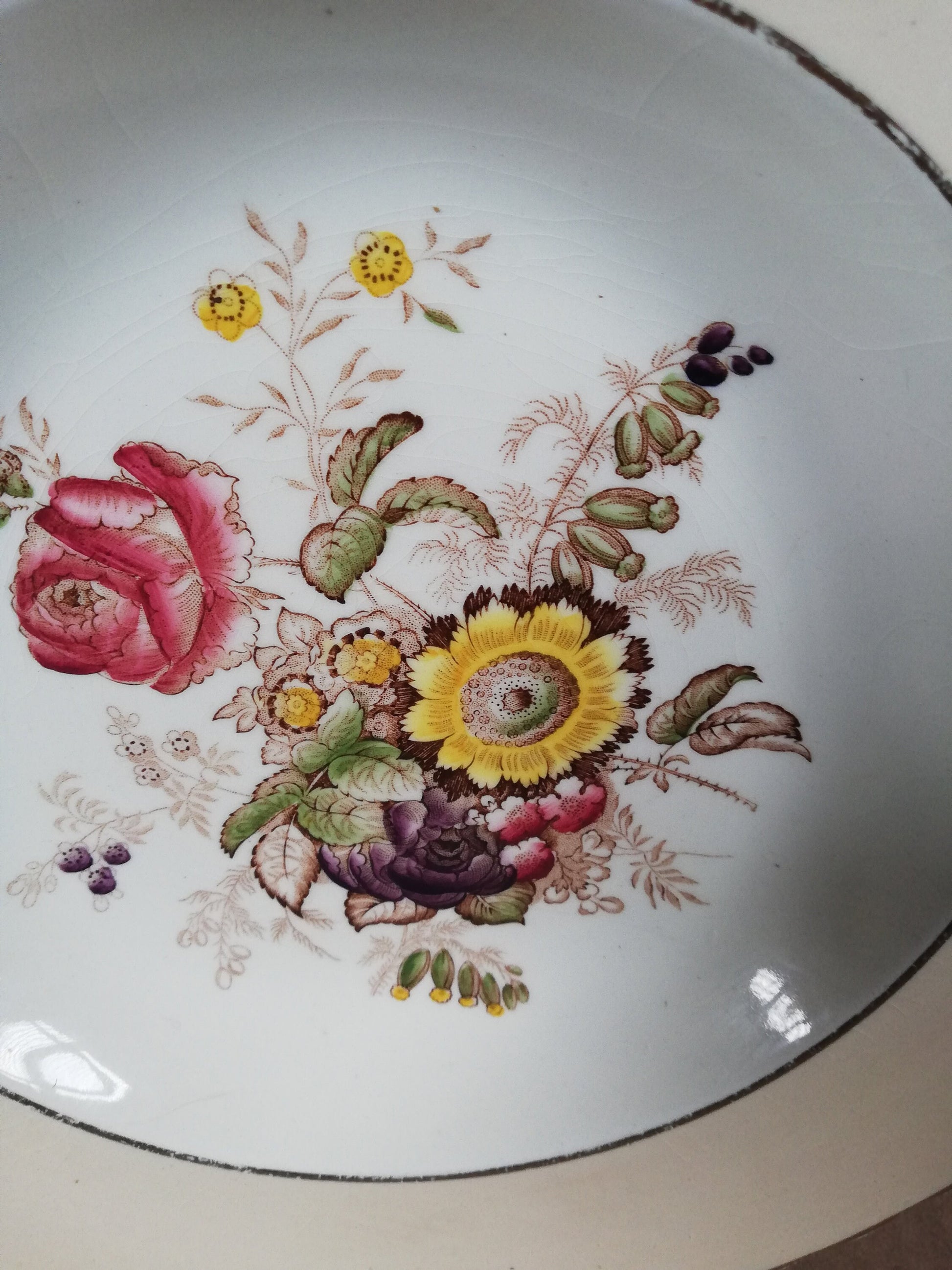 Mason's ironstone floral pattern plate with mushroom coloured edge to rim 9"