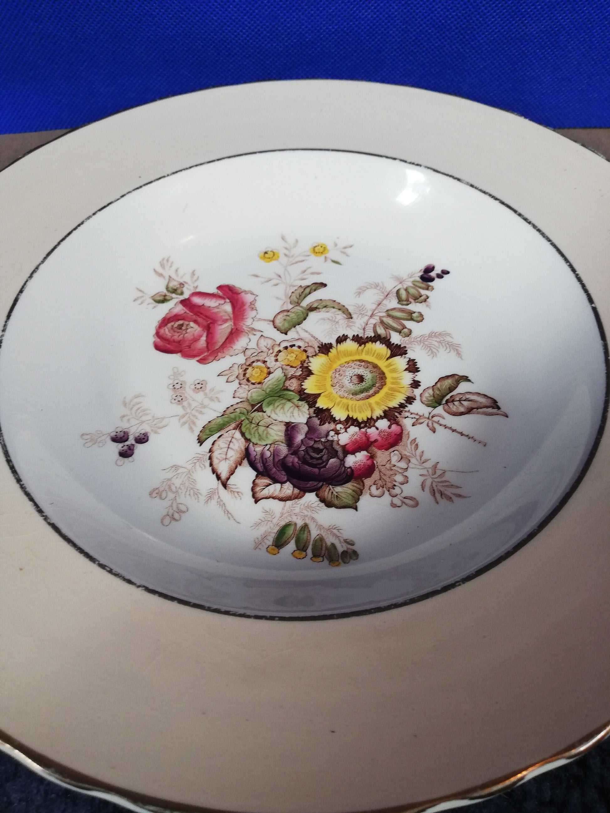 Mason's ironstone floral pattern plate with mushroom coloured edge to rim 9"